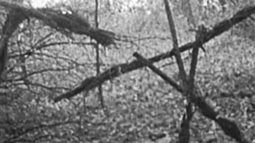 Ideglelés – 2. kép