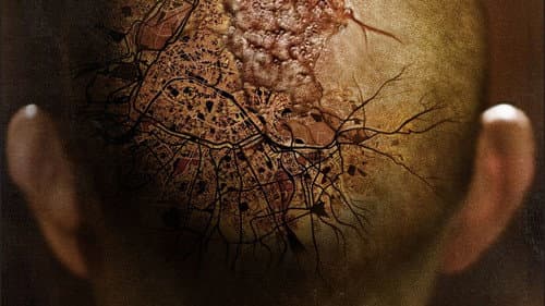 Vámpírtúra – 1. kép