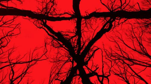 Blair Witch: Ideglelés 3. – 2. kép